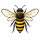 Food And Non-Food Beekeeping Products Kenya — Nollamax Enterprises Ltd