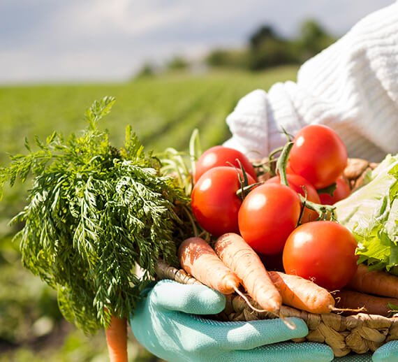 Food And Non-Food Beekeeping Products Kenya — Nollamax Enterprises Ltd