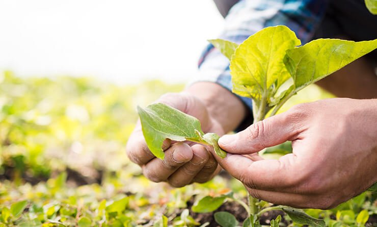 Food And Non-Food Beekeeping Products Kenya — Nollamax Enterprises Ltd