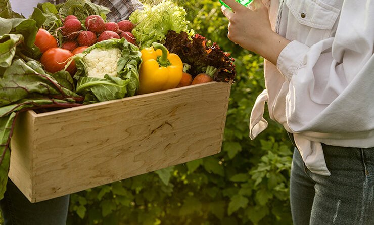 Food And Non-Food Beekeeping Products Kenya — Nollamax Enterprises Ltd