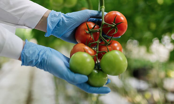Food And Non-Food Beekeeping Products Kenya — Nollamax Enterprises Ltd