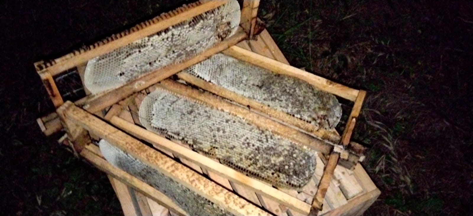 Sealed Comb Honey Frame